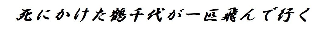 死にかけた鶴千代が一匹飛んで行く